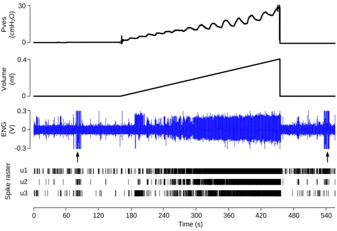 Figure 3-3:  Bladder afferent activity recordings (ENG) using filling profile A (from animal No