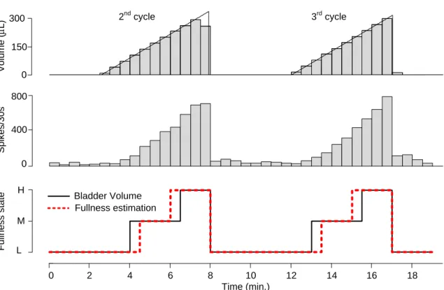 Figure  3-6:  Qualitative  volume  estimation  for  simulated  real-time  data  processing  (Ex