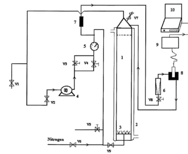 Figure 1 shows the experimental set-up used here. The inner diameter of the bubble column reactor (1) is 0.076 m and the total height of the liquid (without gas) is 1.95 m (volume of liquid: V L  = 0.0092 m 3 )