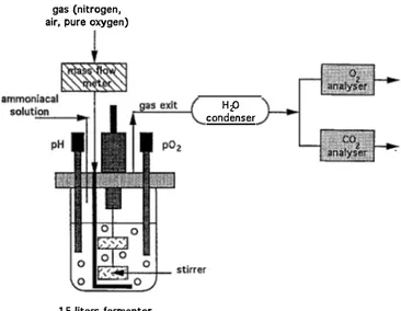 Fig. 1  Experimental  set-up  for  batch  cultures  and  on-line  gas  measurement 