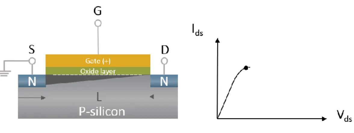 Figure  1-5  I ds   vs  V ds   profile  of  the  MOSFET  represented  in  the  scheme  included  in  the  figure,  working at the pinch-off point