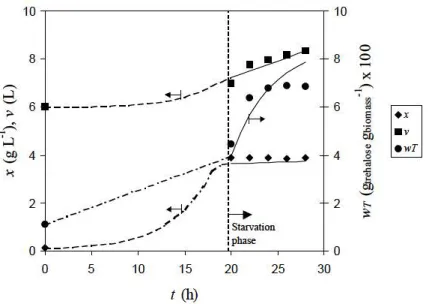 Fig .  6 .  Structured mode! behavior  (solid  lines)  compared  to  experimental data (marks) by fo r gensen et al 