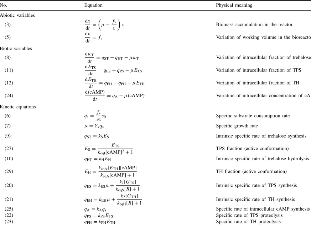 Table 1 Model equations