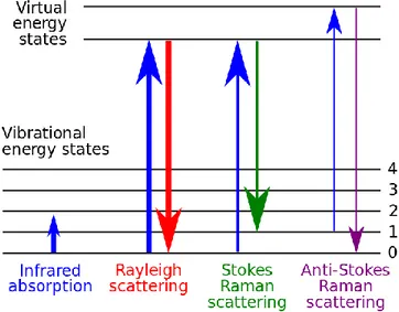 Figure 1.3 : Quatre types de spectroscopie (a) absorption infra-rouge, (b) diffusion de Rayleigh,  (c) diffusion de Stokes-Raman et (d) diffusion anti-Stokes-Raman