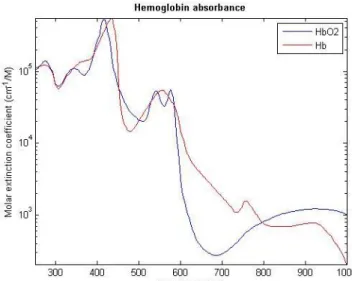 Figure  1.6  : Graphique présentant les pics d’absorption  de l’oxy- et  déoxyhémoglobine  (bleu  et  rouge respectivement), principaux absorbeurs présents dans le sang et dans les tissus vivants