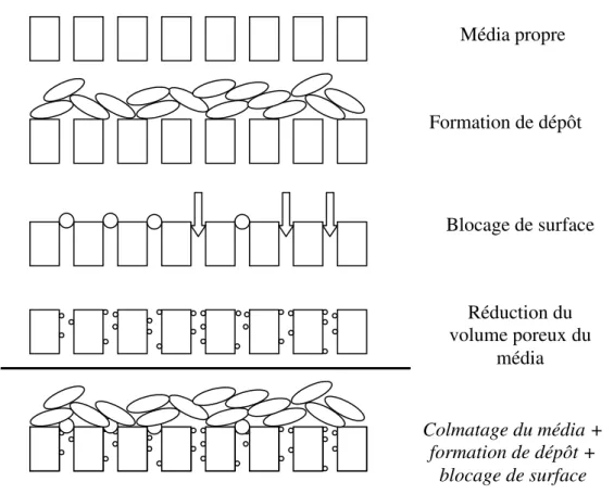Figure II-7 : Représentation des trois limitations de flux considérées dans notre approche 