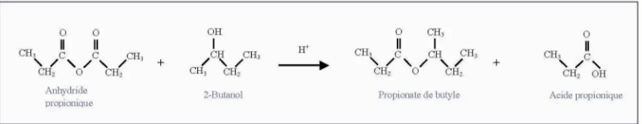 Figure 1. Schéma réactionnel de l'estérification de l'anhydride propionique par le 2-butanol