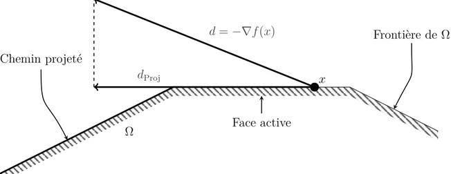 Figure 1.2 Direction projetée et chemin projeté point par point dans le cas où Ω est un polyèdre