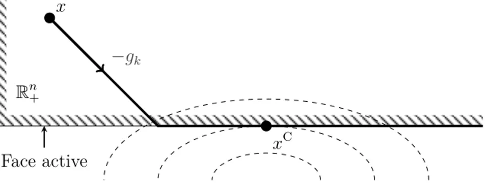 Figure 2.1 Le point de Cauchy minimise le modèle quadratique, dont on a dessiné les lignes de niveau en pointillés, le long du chemin projeté