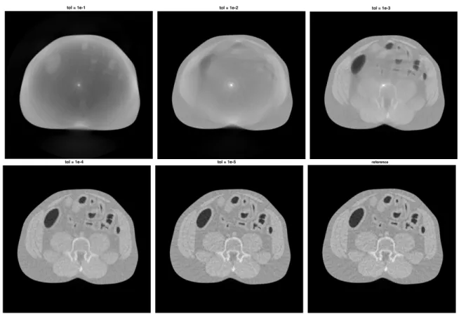 Figure 4.8 Images obtained with SPG for several tolerances. The reference image is obtained with TRON with tolerance 10 −10 .