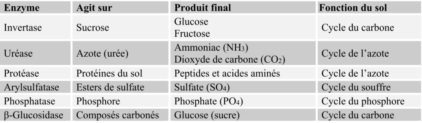 Tableau 2.3: Rôle des enzymes du sol 