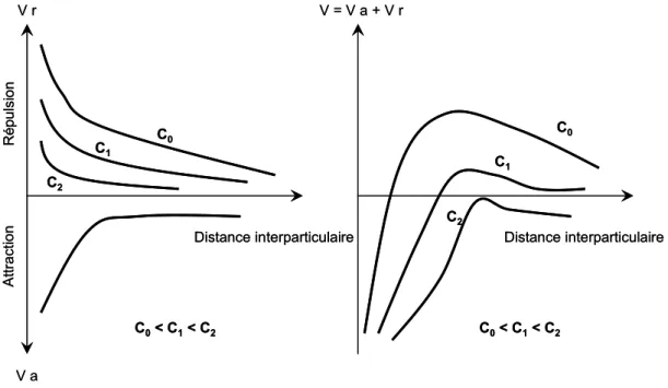 Figure 1 : Contribution des potentiels électriques répulsifs et attractifs suivant la distance interparticulaire d’un doublet 