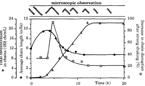 Figure  1. Growth, average chain length and chain disruption after strong 