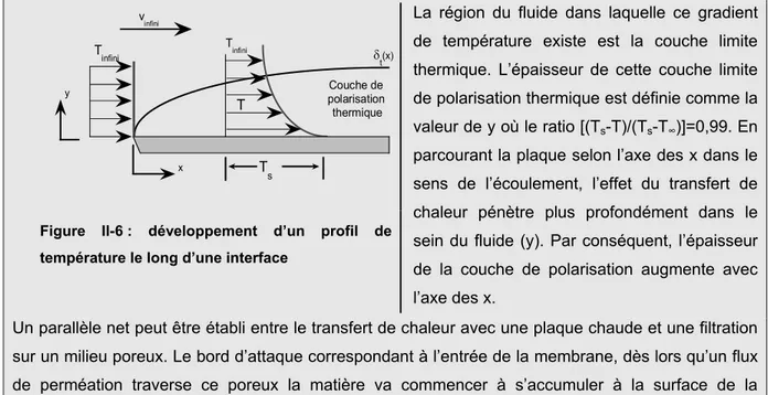 Figure  II-6  : développement d’un profil de  température le long d’une interface  
