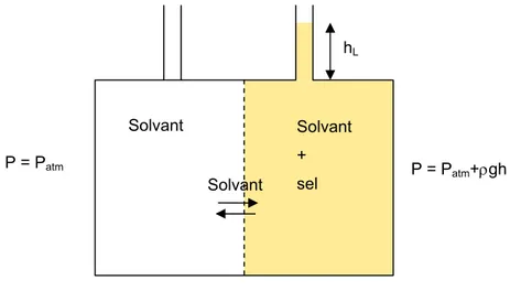 Figure  III-12 : Détermination expérimentale de la pression osmotique à l’équilibre dans un cas simple