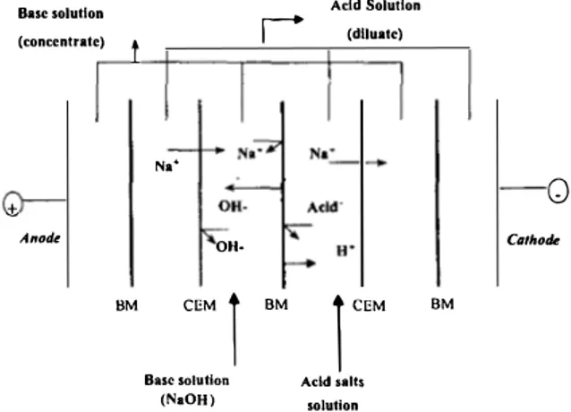 Fig. 1.  Principle of EDBM for  the conversion of weak  organic acid salts-example of a sodium sait