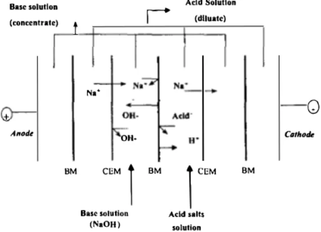 Fig. 1.  Principle of EDBM for  the conversion of weak  organic acid salts-example of a sodium sait