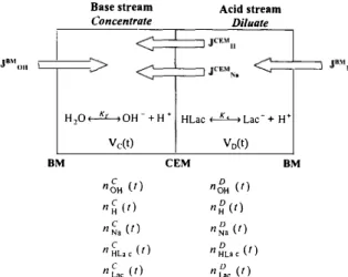 Fig.  2 provides a schematic drawing  of the  different fluxes and reactions, the origin of which  was described in section 2