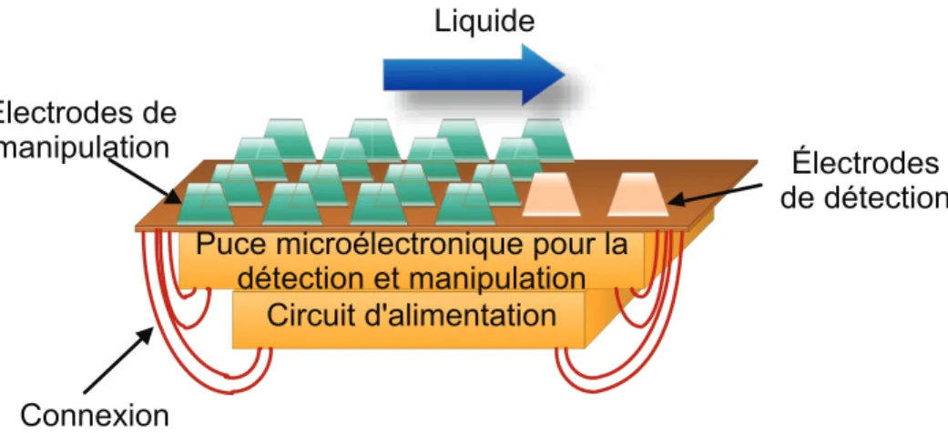 Figure 3.7 Assemblage et encapsulation des ´electrodes avec les diff´erentes architectures : microfluidique et micro´electronique