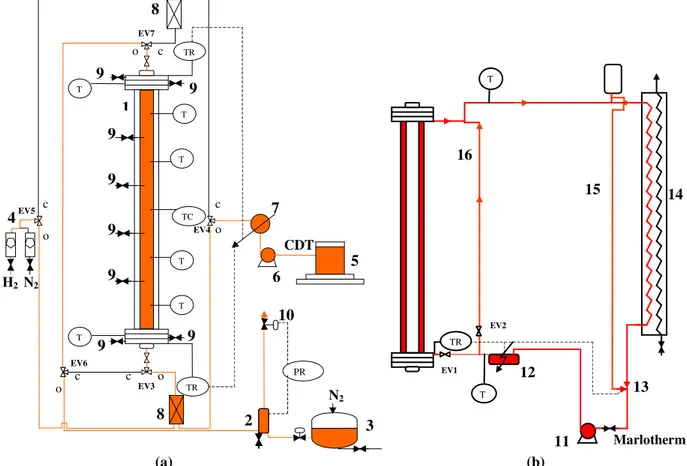 Fig. 1 – Experimental set-up: (a) reactant circuit (up-flow mode), (b) thermal control equipment