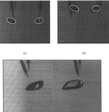 Figure 3. Superimposition of bubble contour and an exact ellipse for