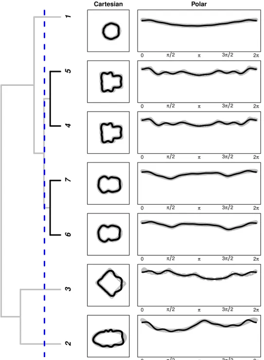 Figure 2.6 Left panel, dendrogram of posterior probability associated with each simulated closed curve using circular harmonic basis functions with 17 terms in equation (1.2)