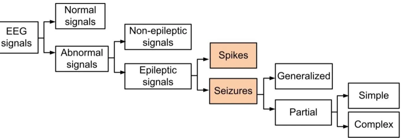 Figure 2.1: Analysis and classification of the EEG recordings, adapted from [9]. 