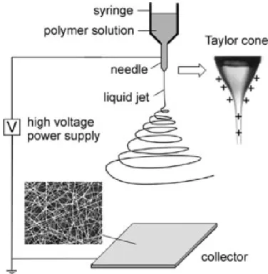 Figure  2-1:  Schematic  illustration  of  the  fabrication  of  polymer  nanofiber  composite  by  electrospinning