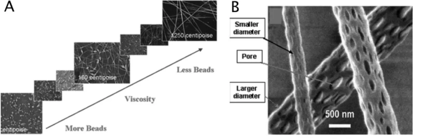 Figure 2-2: A) SEM photographs of electrospun nanofibers from different polymer concentration  solutions  (image  is  reproduced  from  reference  (Fong  and  Reneker  1999))