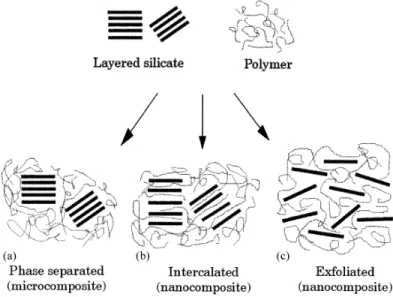 Figure 2.8.  Schematic picture of three main structures  of polymer-nanoclays hybrids  (LeBaron,  1999)