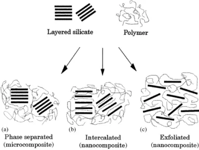 Figure 2.8.  Schematic picture of three main structures  of polymer-nanoclays hybrids  (LeBaron,  1999)
