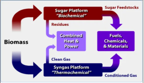 Figure 2. 1: Forest Biorefinery concept [3] 