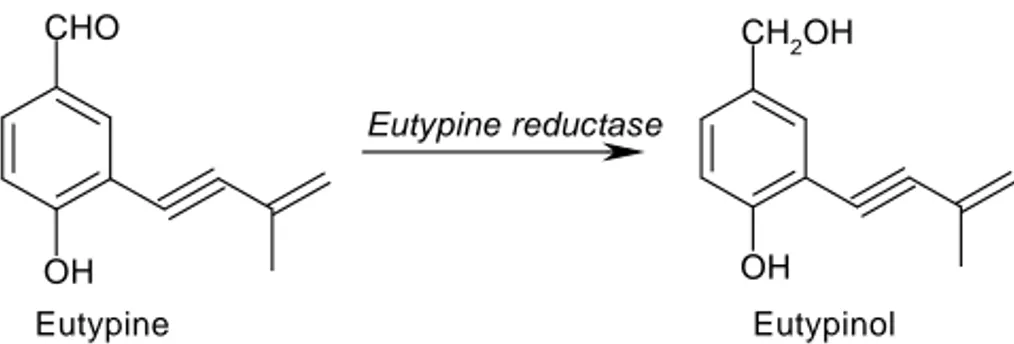 Fig. 1. The biotransformation of eutypine, 4-hydroxy-3-(3-methyl-3- 4-hydroxy-3-(3-methyl-3-butene-1-ynyl) benzaldehyde, into its corresponding alcohol metabolite eutypinol, 4-hydroxy-3-(3-methyl-3-butene-1-ynyl) benzyl alcohol.