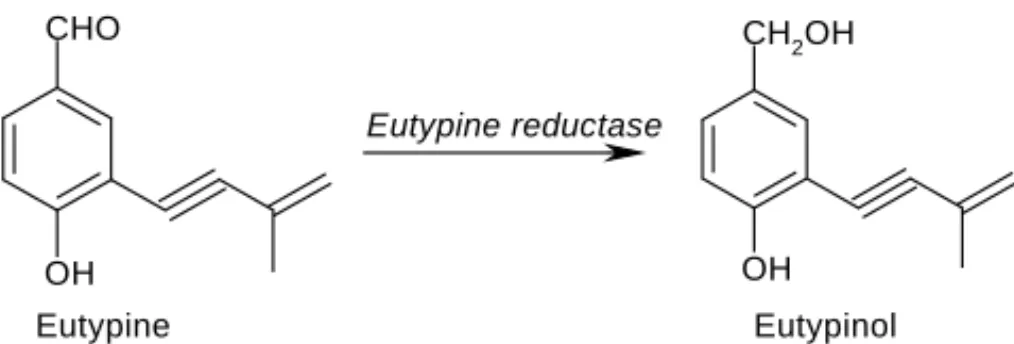 Fig. 1. The biotransformation of eutypine, 4-hydroxy-3-(3-methyl-3- 4-hydroxy-3-(3-methyl-3-butene-1-ynyl) benzaldehyde, into its corresponding alcohol metabolite eutypinol, 4-hydroxy-3-(3-methyl-3-butene-1-ynyl) benzyl alcohol.