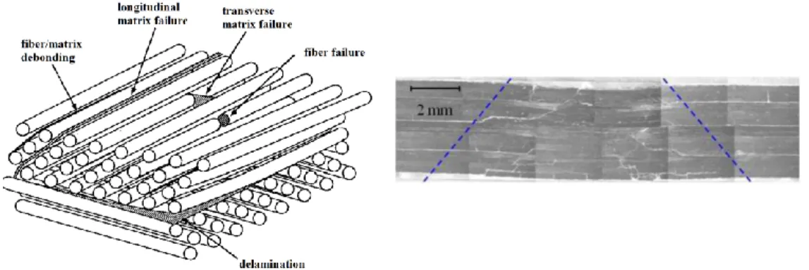 Figure 2.1: Observed damage in unidirectional laminated composite 