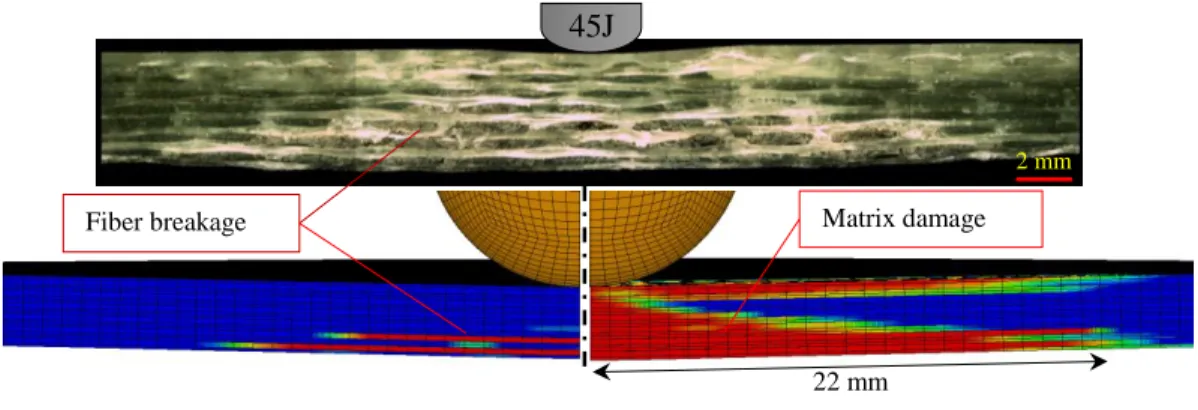 Figure 3.17: Cross-sectional view of the damage zone at an impact energy of 45 J 