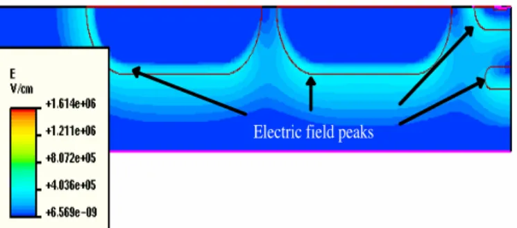Fig. 6: Doping concentration for the edge cell of the Vertical FLIDiode.