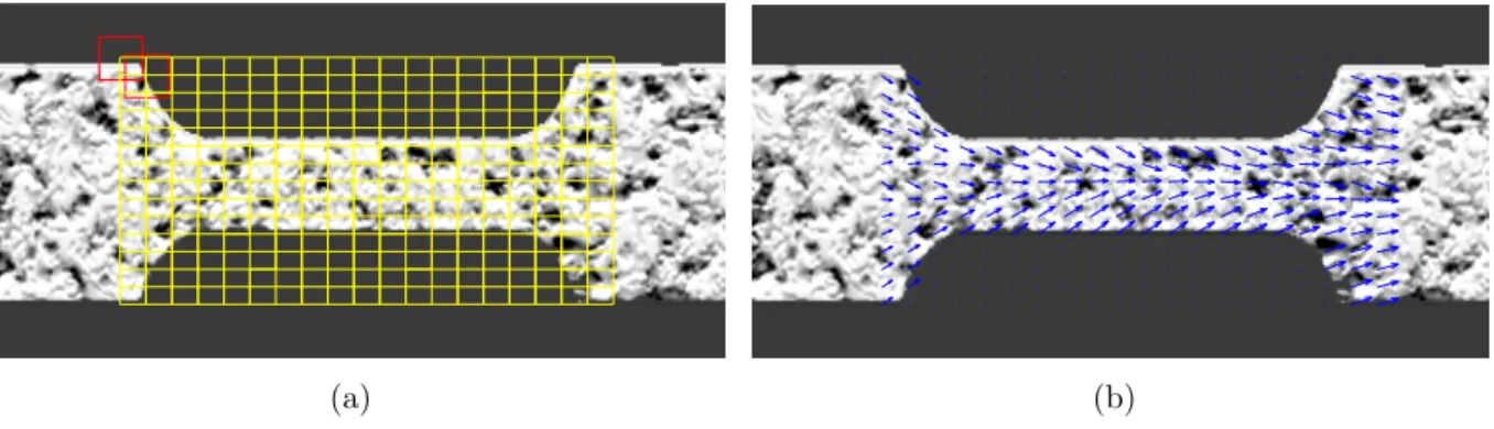 Figure 1.2 Illustration of subset-based DIC (local approach). (a) The yellow rectangle denotes the ROI which is filled by evenly spaced grid points