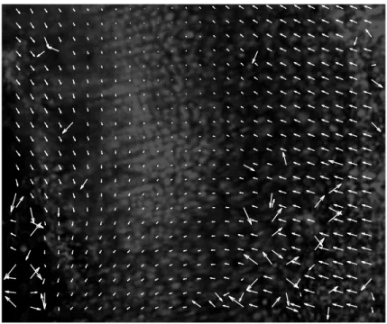 Figure 1.4 Typical aberrant measurements sometimes occurring in a local approach due to the independency of local DOF computation across adjacent subsets.