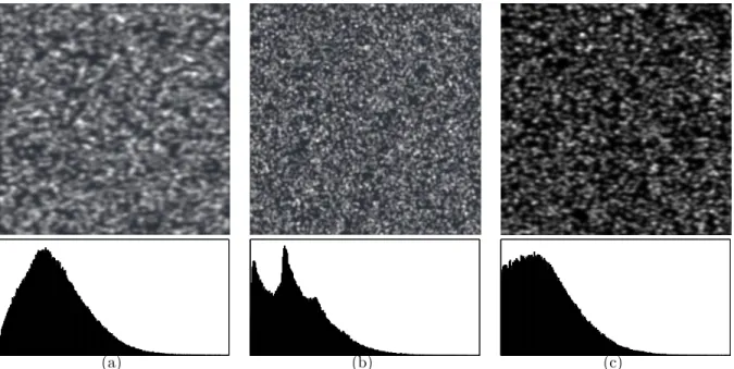 Figure 3.4 Artificially-generated images for evaluation purposes and their histograms denoted in the text by (a) Image I, (b) Image II and (c) Image III (all images are 512 ×512 pixel 12-bit gray-scale)