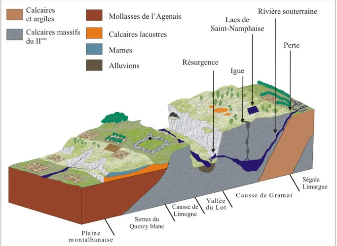 Figure 2 : Bloc diagramme présentant une coupe schématique nord-est sud-ouest des Causses 