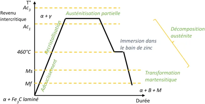 Figure 2-5 :   Schéma typique d’un cycle thermique dans une ligne de galvanisation continue  avec les transformations microstructurales associées à chaque étape 