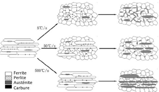 Figure 2-7 :   Impact de la vitesse de chauffage sur la microstructure et l’apparition de structure  en bande, adapté de (Li et al., 2013) 