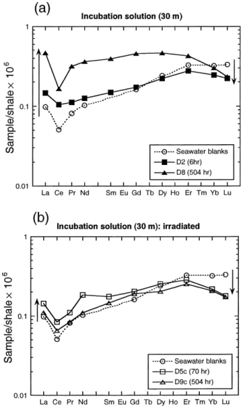 Fig. 3. Shale normalized REE patterns of the incubation solutions