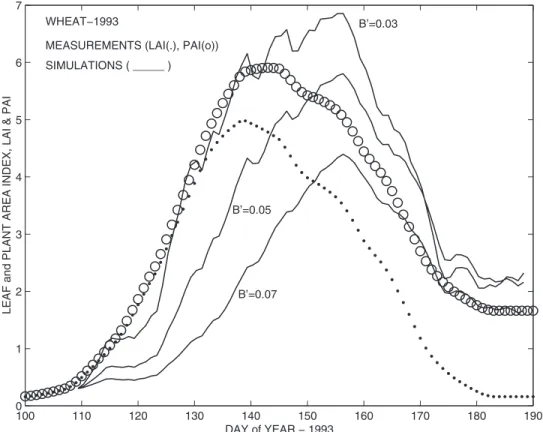 Figure 10. Comparison between ISBA-Ags simulations of LAI* (solid line) for the three values of b 0 , and the ground-based measurements of green LAI (dotted line) and PAI (circled line) (approach II).