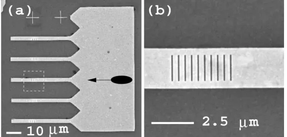 FIG. 1. Scanning electron microscope (SEM) images of a typical structure used in this study