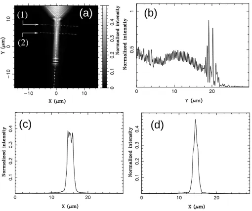 FIG. 2. (a) Large scan PSTM image of a micro–structured SPW. (b) Longitudinal cross–cut of the near–field image along the dashed line in (a)