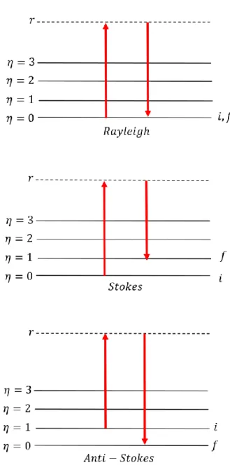 Figure 3.4: Energy level diagram related to the Rayleigh, Raman Stokes, and Raman Anti-Stokes  scattering of light