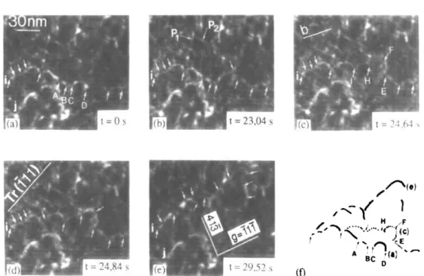 Figure  3 displays a deformation sequence issued from an  in-situ  straining experi-  ment performed at room temperature