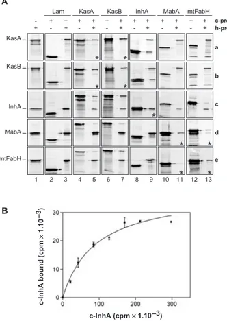 Fig. 2. Co-IP analysis of protein–protein interactions within the FAS-